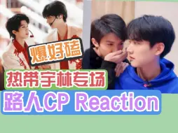 Download Video: 【路人CP reaction】充电之【热带宇林】啊啊啊 怎么这么原耽！好磕死了