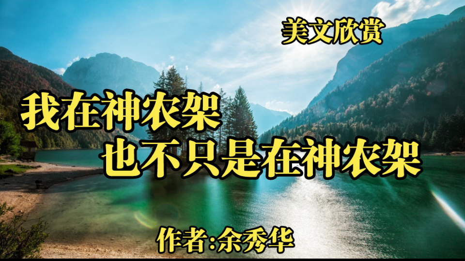 余秀华最新文章,我在神农架,我不只是在神农架!哔哩哔哩bilibili