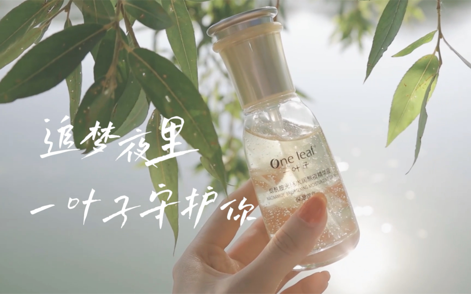 【大广赛】一叶子广告| 沁梦时光物语