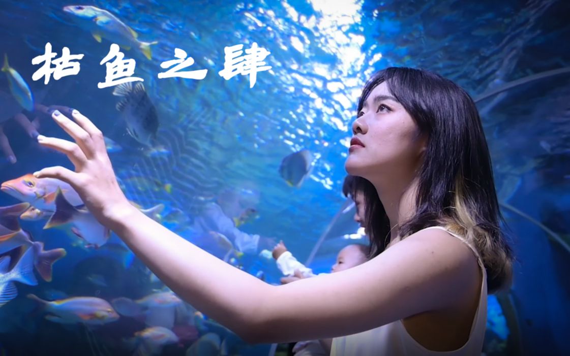 [图]【意识流短片】水族馆里拍作业 《枯鱼之肆》 学生作品