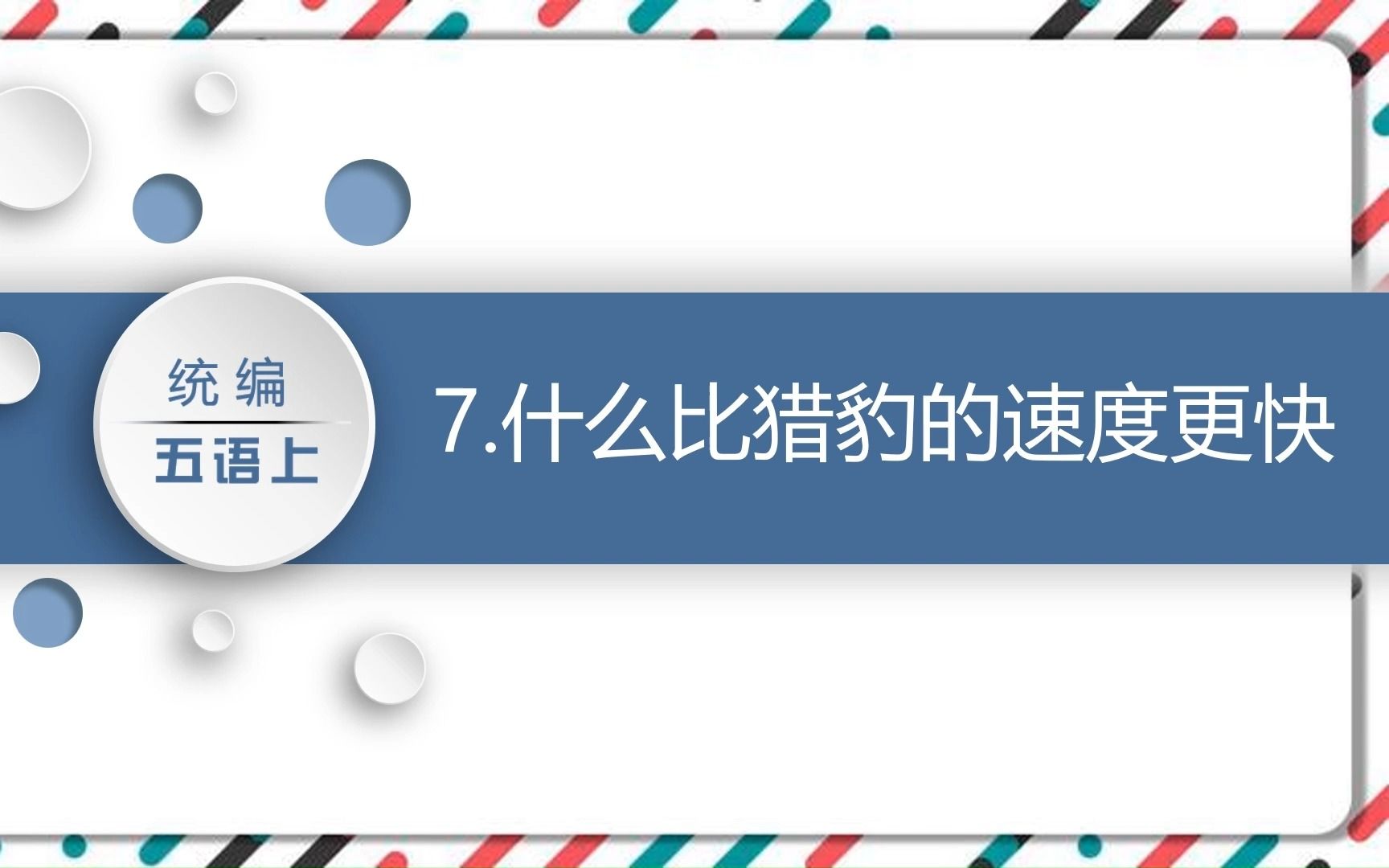 人教版小学语文上册课文《什么比猎豹的速度更快》PPT课件哔哩哔哩bilibili