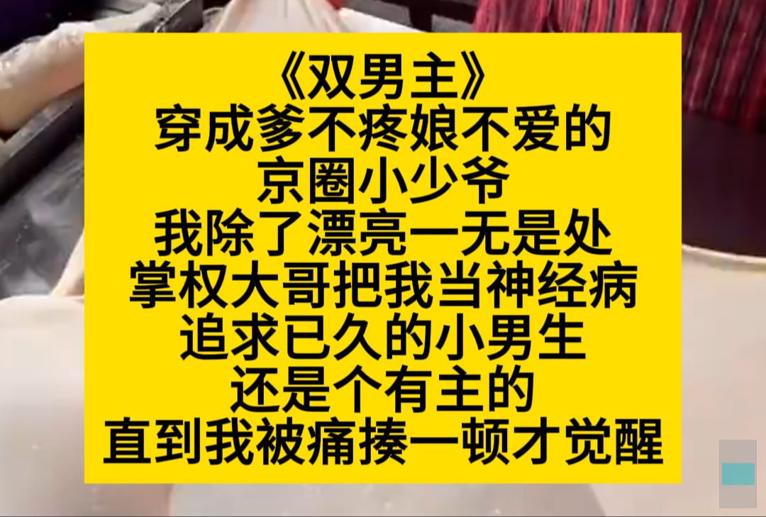 双男主 穿成爹不疼娘不爱的京圈小少爷,我除了漂亮一无是处……小说推荐哔哩哔哩bilibili