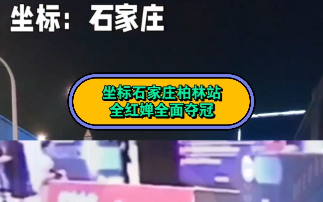 坐标石家庄2024跳水锦标赛柏林站全红婵全面第一普渡缘石家庄预祝全红婵一切顺利#跳水冠军全红婵 #跳水冠军全红婵实至名归 全红婵#全红婵夺冠 #全红婵...