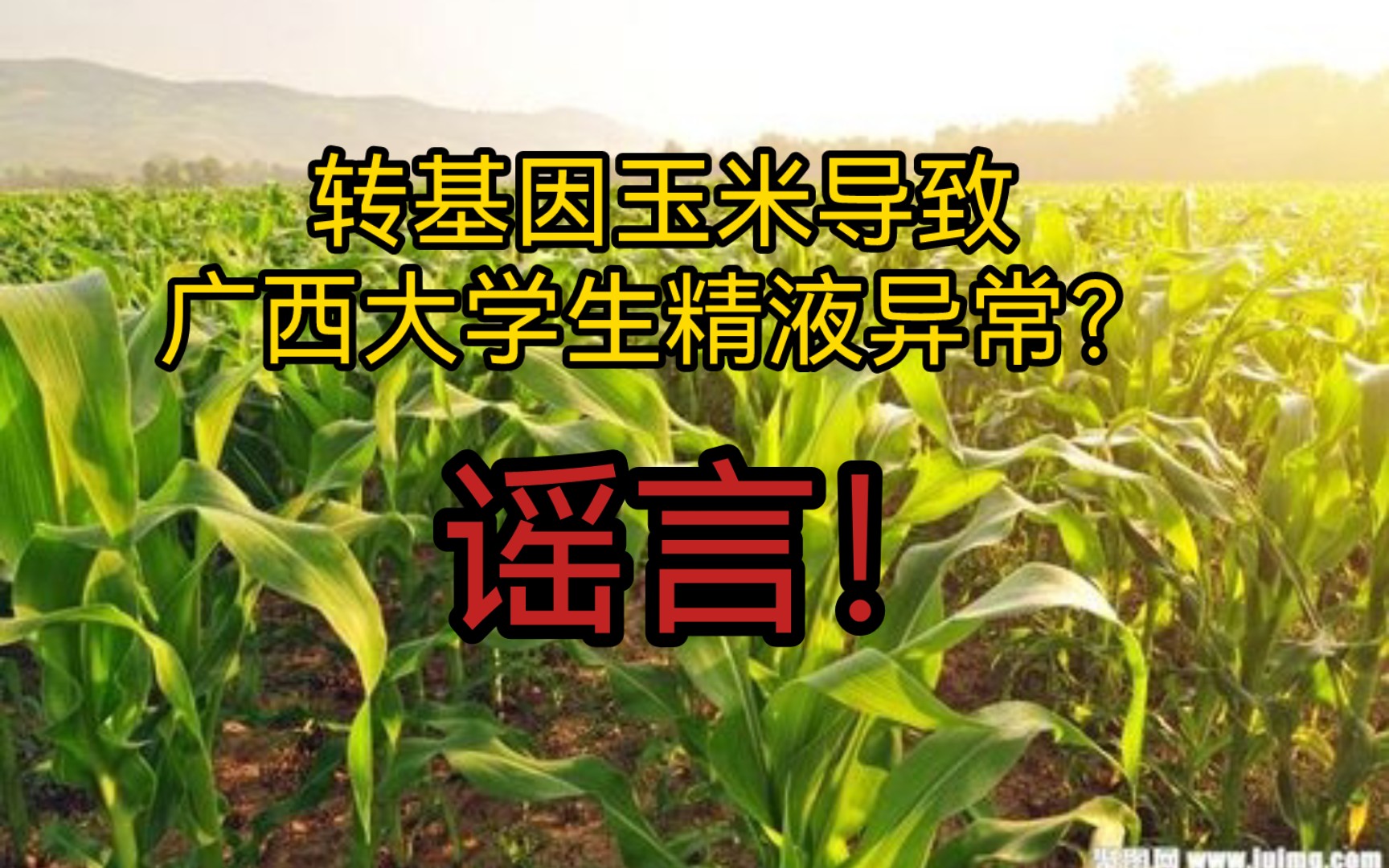 转基因玉米导致广西大学生精液异常?谣言!哔哩哔哩bilibili