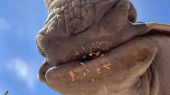 ...