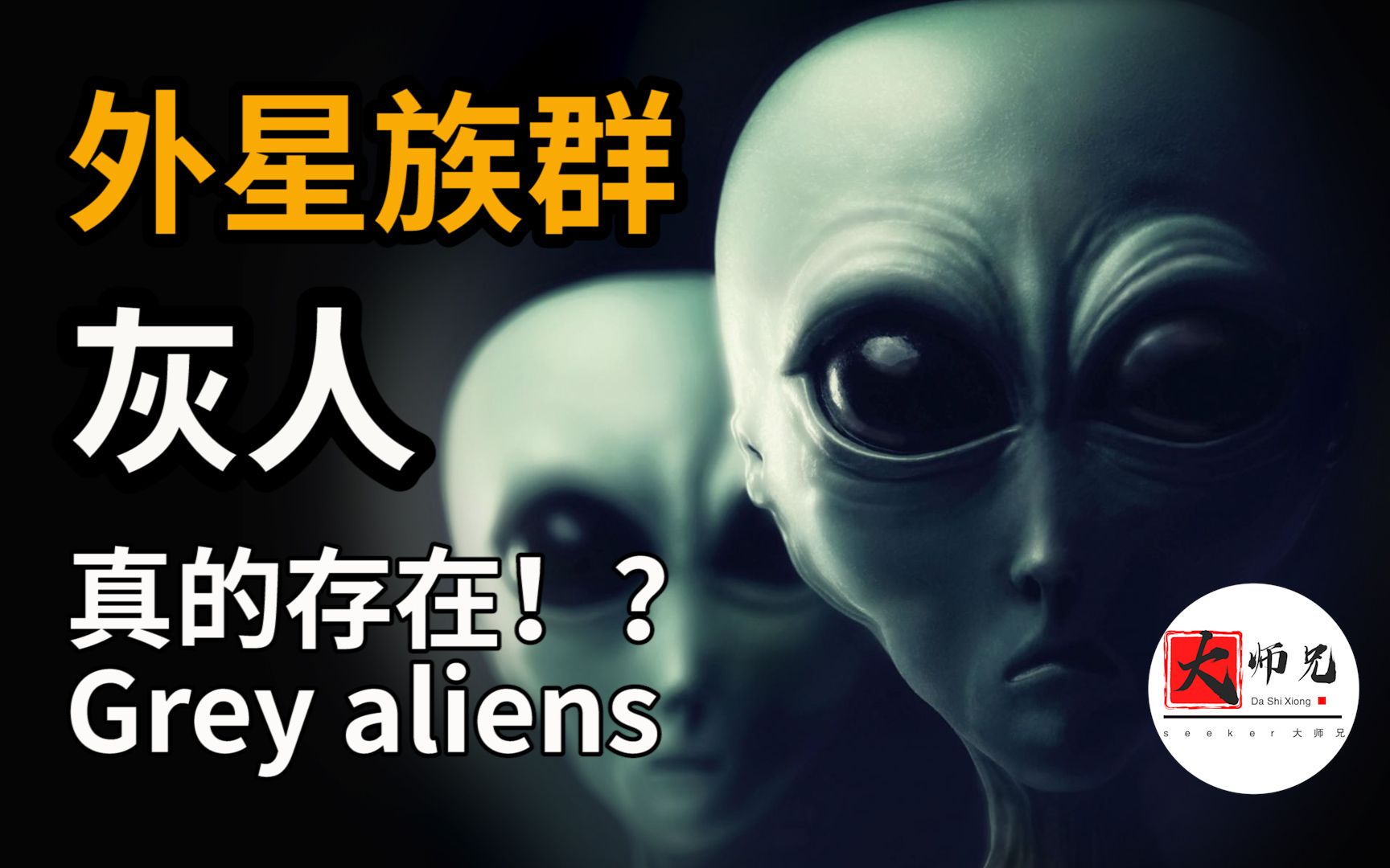 [图]外星族群：灰人！真的存在？来自猎户座，泽塔双星？还是未来人？