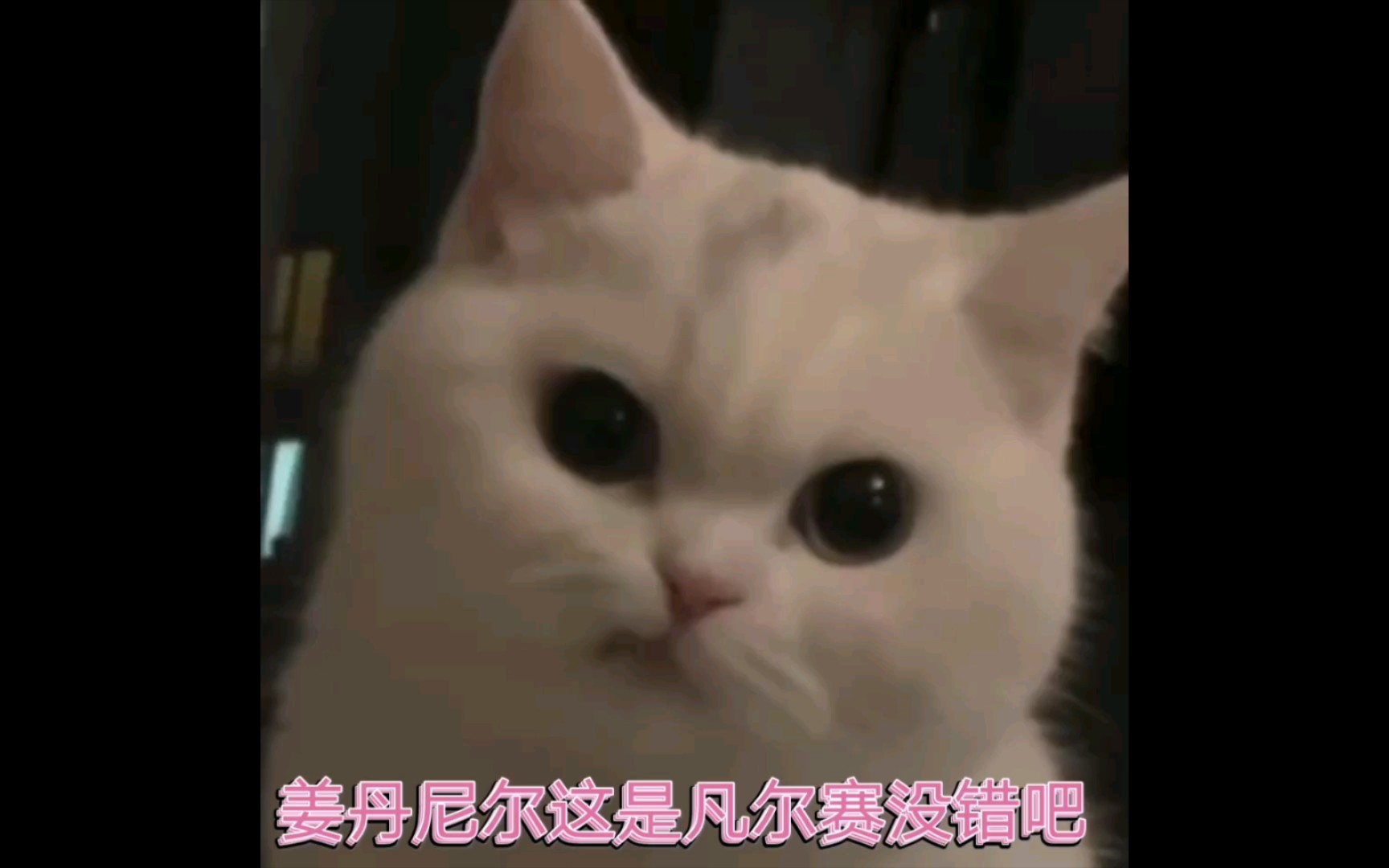 “凡 学 大 师 ”姜丹尼尔这是凡尔赛没错吧?哔哩哔哩bilibili