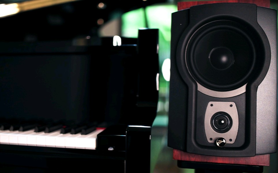 惠威rm6一款有源的hifi书架式音箱这是小胖听过唯一可以媲美同价位的