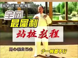 Download Video: 站桩全网最详细教程