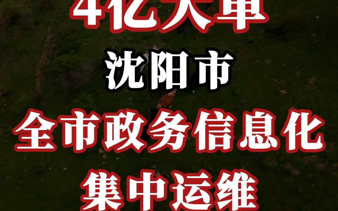 4 亿大单、沈阳市政务信息化集中运维项目哔哩哔哩bilibili