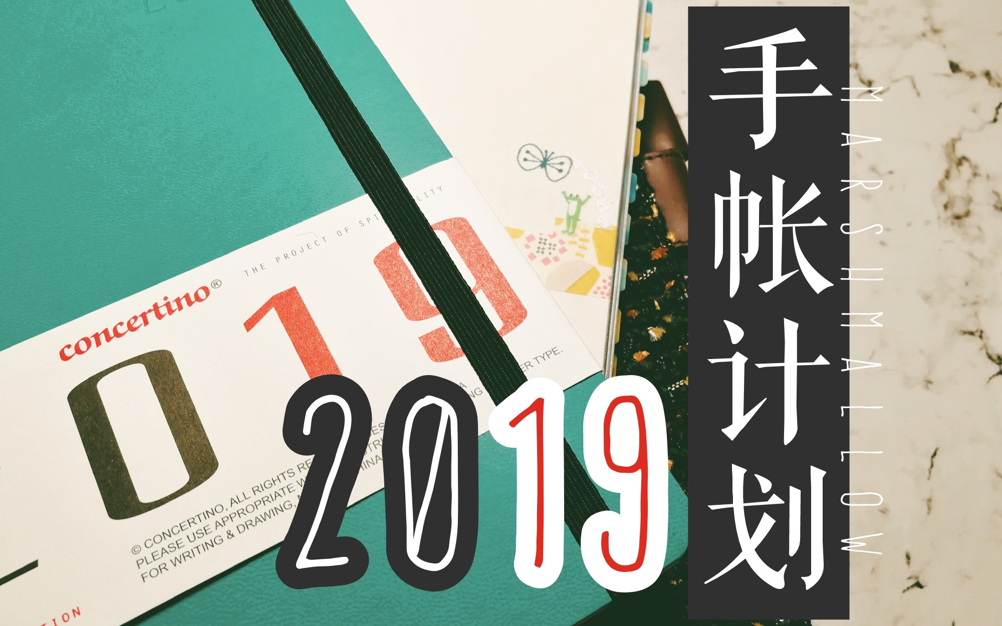 【棉花糖】2019手帐规划计划/MUJI/小协奏曲/余白/2019目标期望✔哔哩哔哩bilibili