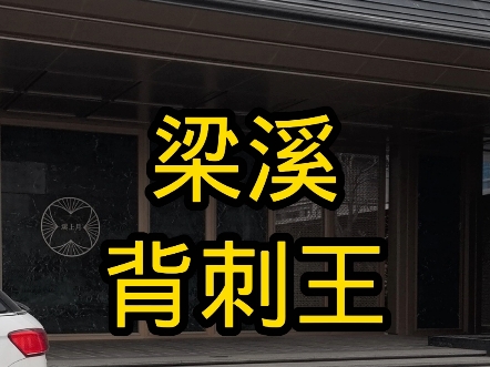 梁溪背刺王