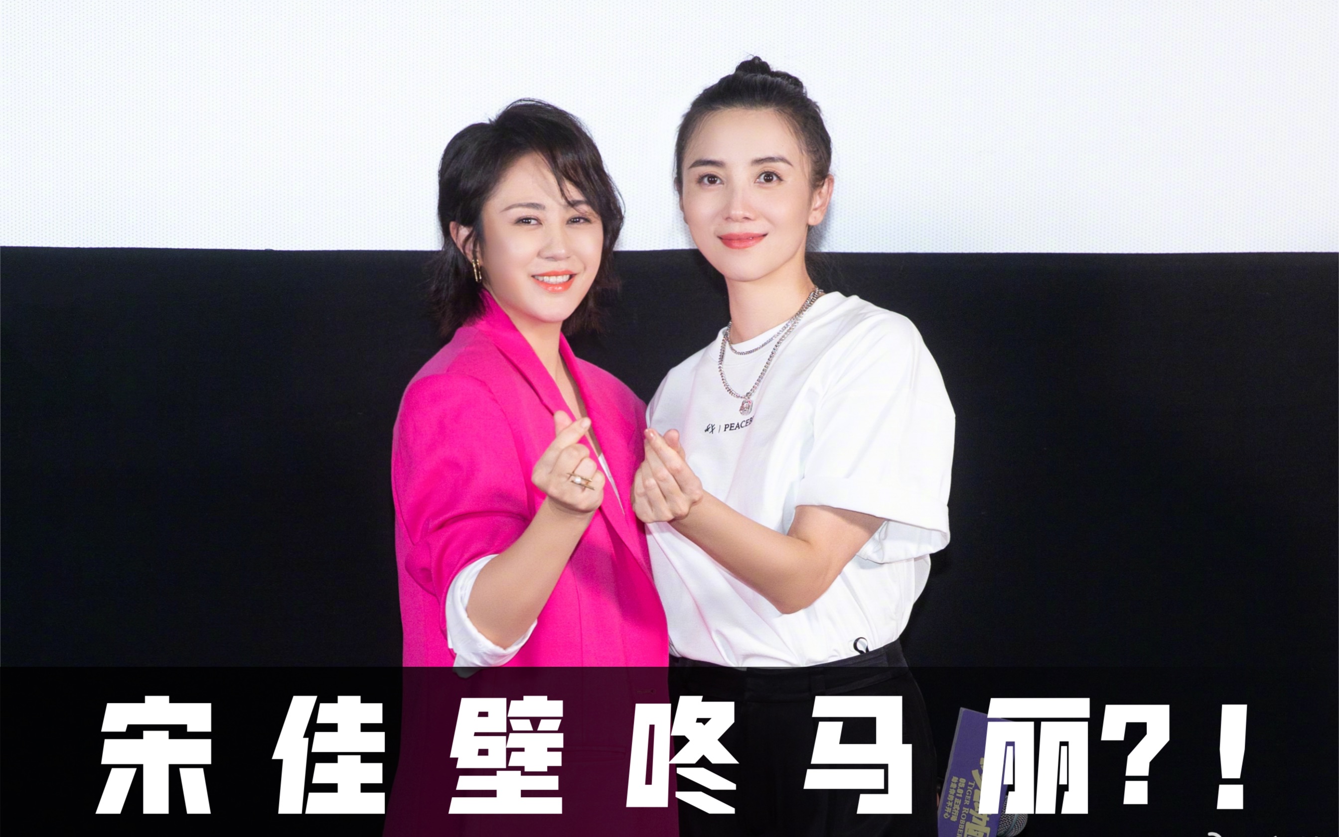 花丽胡哨阳光劫匪宋佳壁咚马丽