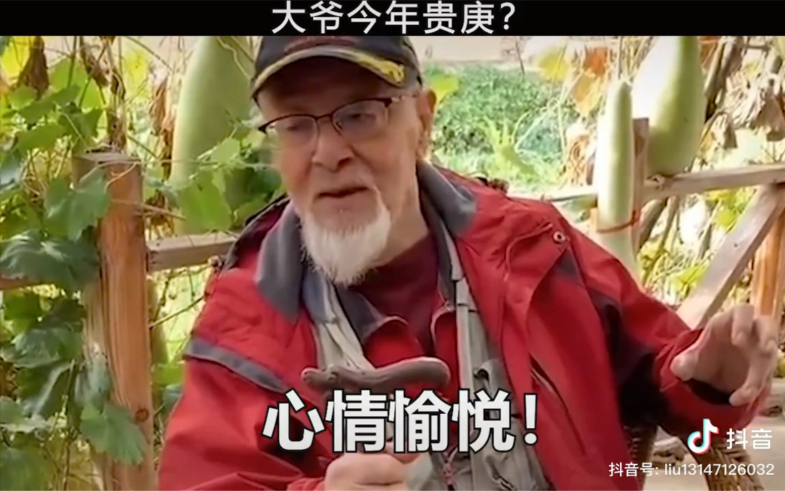 抖音广州花海爱的恰恰舞彭十六惠州双月湾你大爷还是你大爷心情愉悦