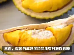 Download Video: 榴莲熟透了和坏了怎样区分