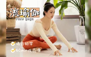 Download Video: 流瑜伽60分钟成品跟练课