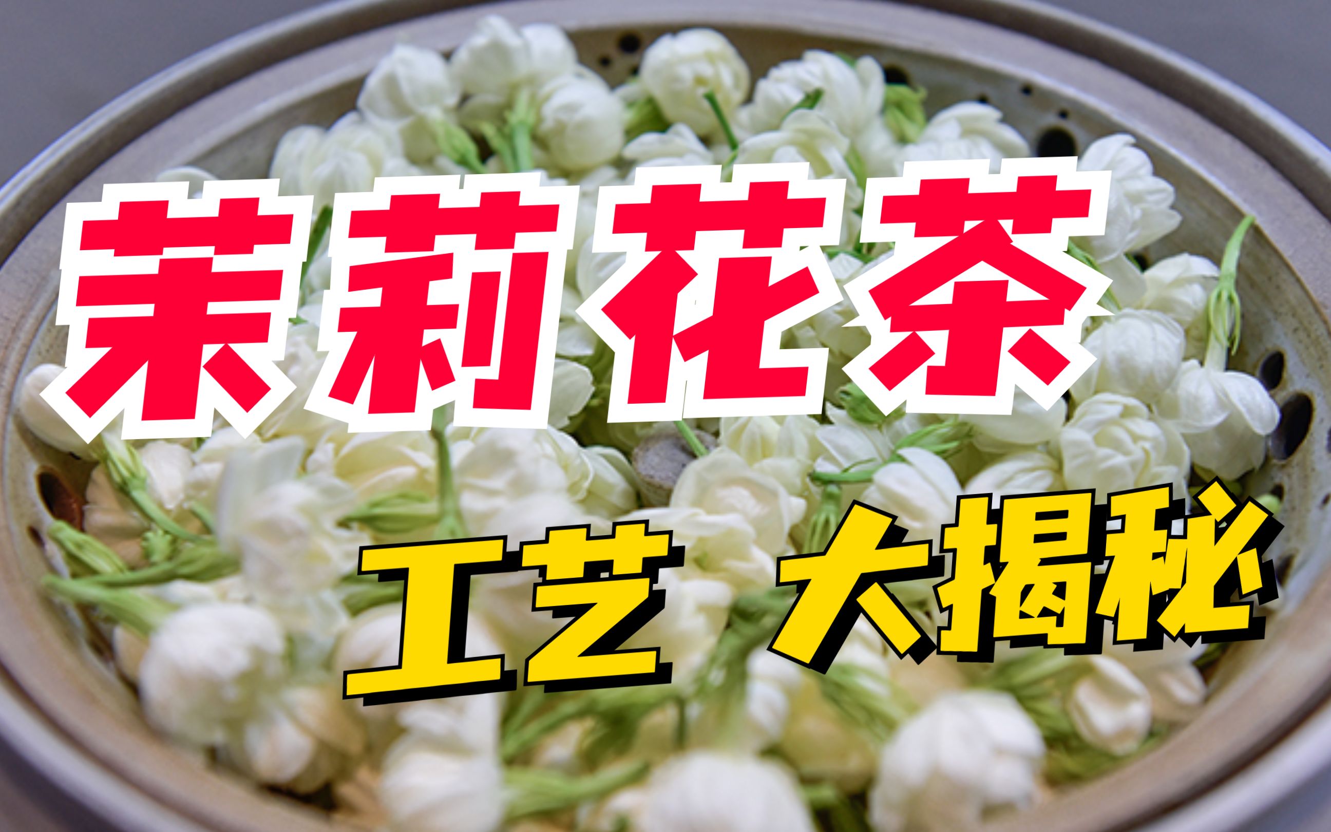 [图]茉莉花茶，是怎么做出来的？茉莉花茶制作工艺大揭秘~