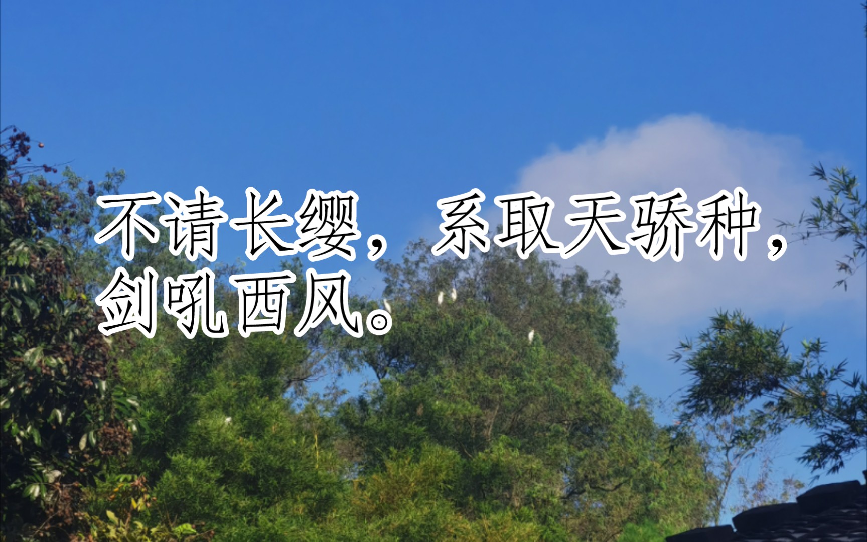 宋词三百首(六州歌头·少年侠气[宋代]贺铸)