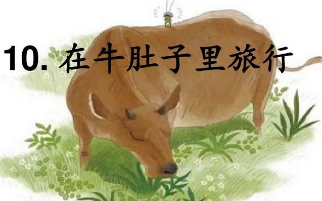 【課件】《在牛肚子裡旅行》-部編人教版小學三年級語文上冊 yw03a