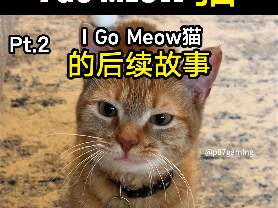 [图]唱 “I Go Meow” 猫的后续故事..  P2 #IGoMeow #Cala #唱歌的猫 #猫meme #猫猫迷因梗 #迷因由来 #p87gaming