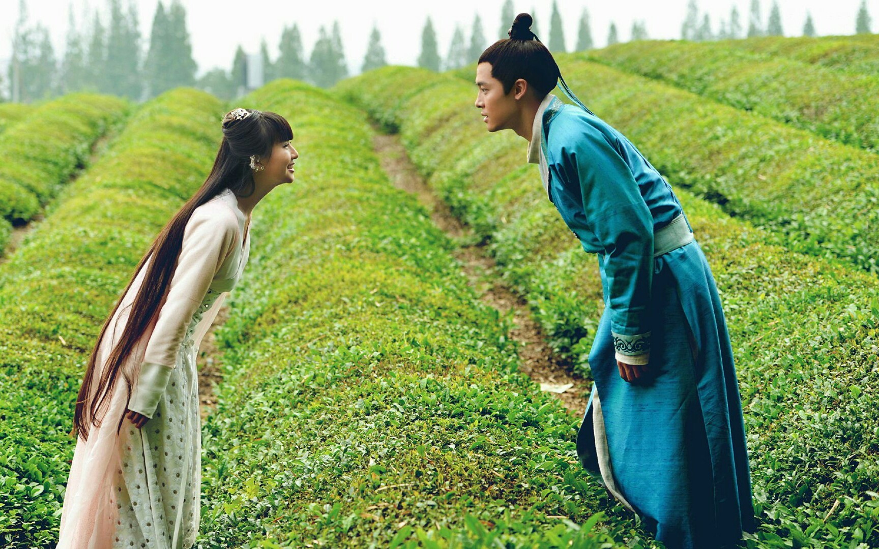 人生若只如初见,我仍然选择遇见你【婴宁×王子服】_哔哩哔哩 (゜-゜)