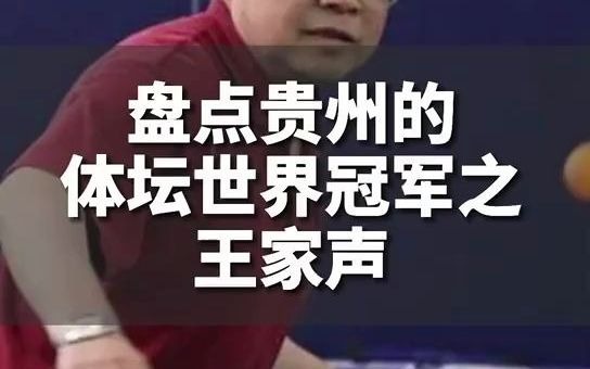 中国第一位左手直板世界冠军,来自贵州,他就是当年国乒“五虎将”之一的王家声!哔哩哔哩bilibili