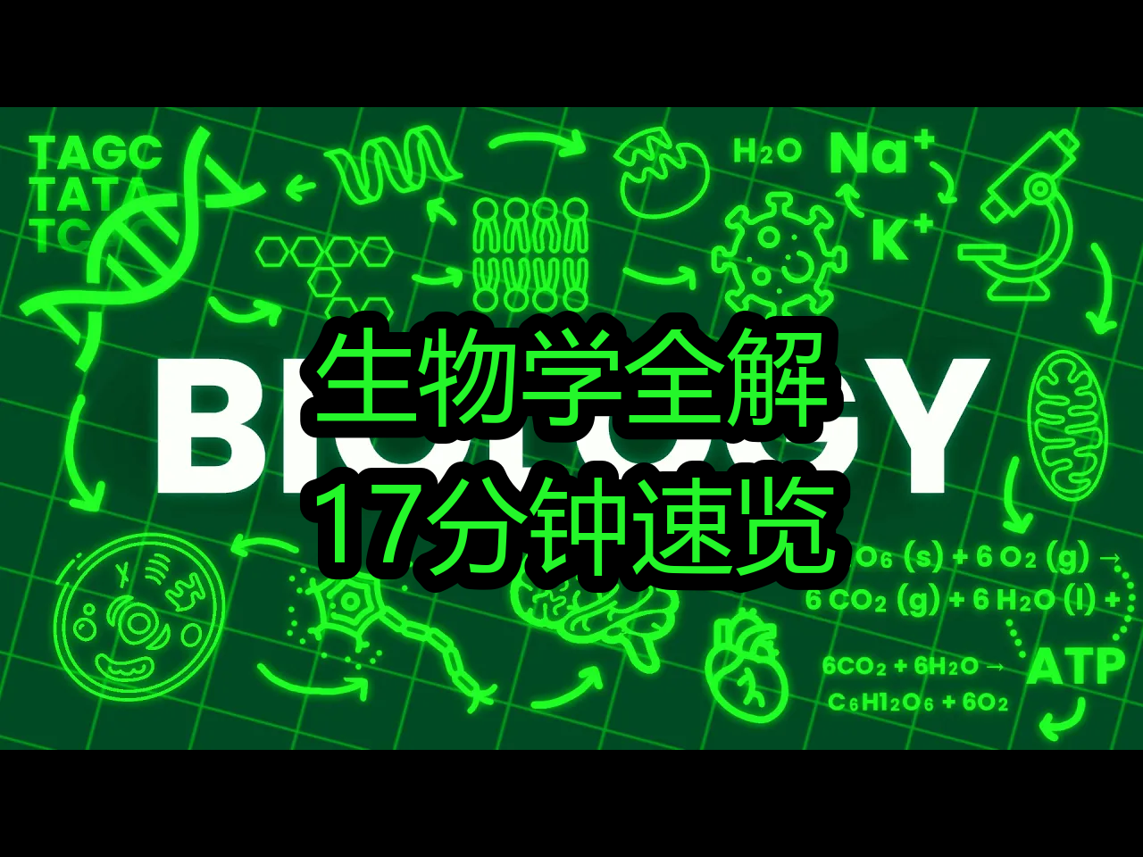 【中配】生物学全解:17分钟速览  Wacky Science哔哩哔哩bilibili