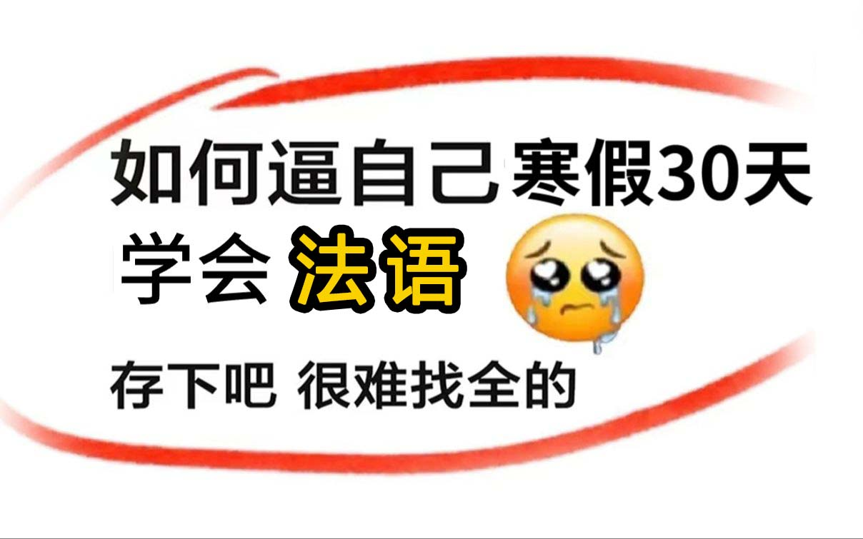 【法语学习】如何逼自己寒假30天学会法语!B站最入门的法语学习教程字母歌词汇语法应有尽有!哔哩哔哩bilibili