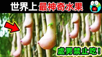 Download Video: 世界上最神奇的15种水果！越南乳瓜竟然真实存在