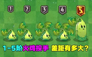 Tải video: 1-5阶火鸡投手测试，1阶普通，5阶巨人克星！