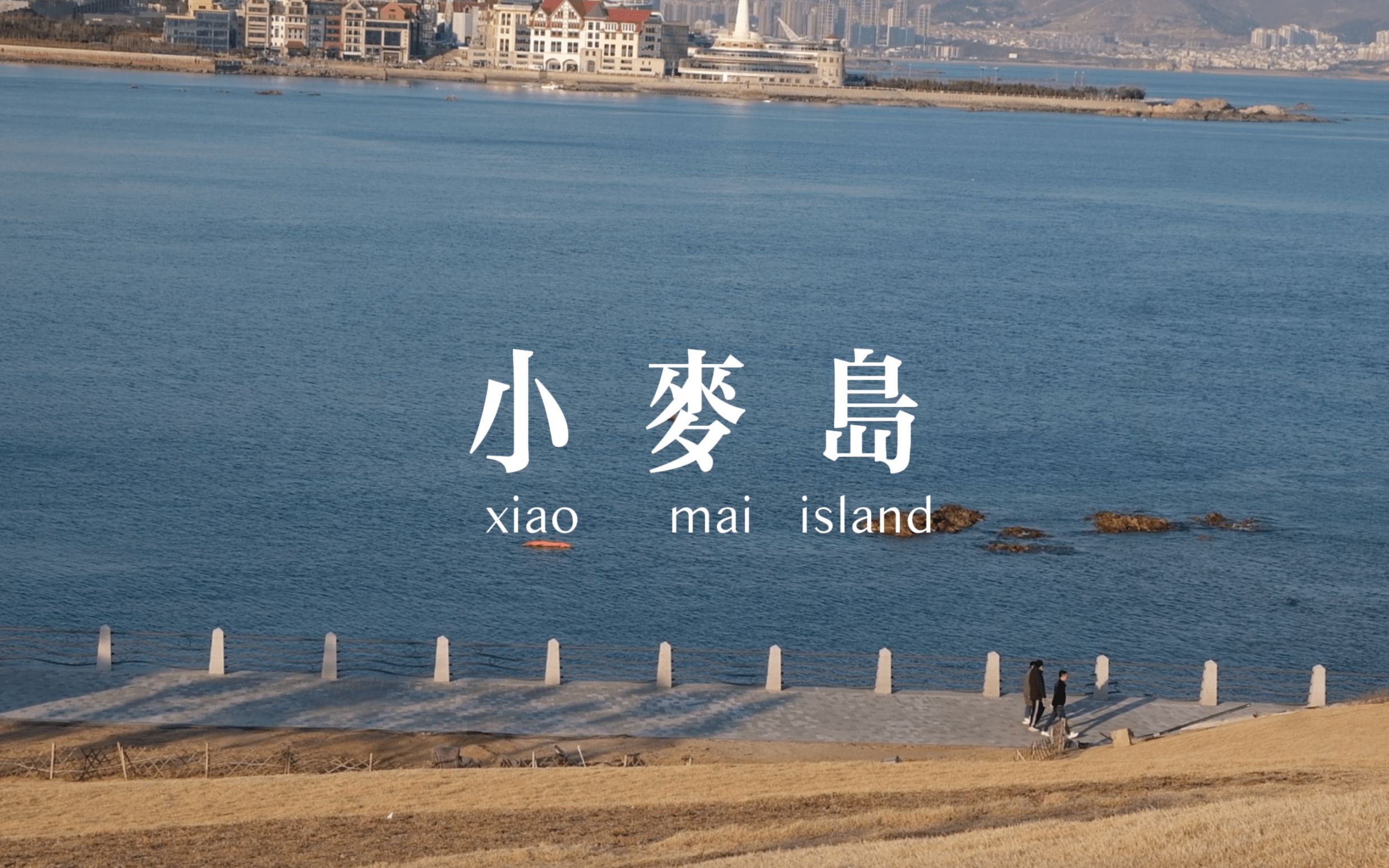 [图]青岛旅拍/小麦岛公园/一座小岛，冬天游客不多，蓝色的海，金色的草地，就在这里沐浴一下午的阳光吧