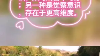 量子力学观察者效应 哔哩哔哩 Bilibili