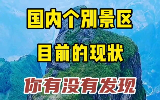 国内个别景区目前的现状,你有没有发现,我说的对吗?哔哩哔哩bilibili