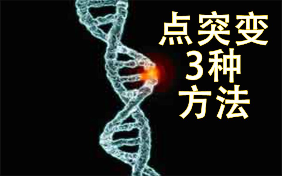 【实验】点突变三种方法,1寡聚核苷酸介导的定点突变 2双引物法定点突变(重叠延伸技术) 3大引物诱变法哔哩哔哩bilibili