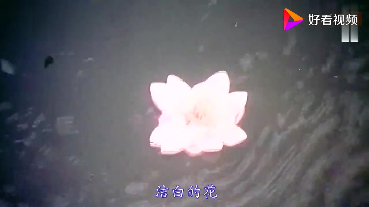 [图]怀旧电影金曲1980白莲花片尾曲白莲花洁白的花·戚长伟朱逢博