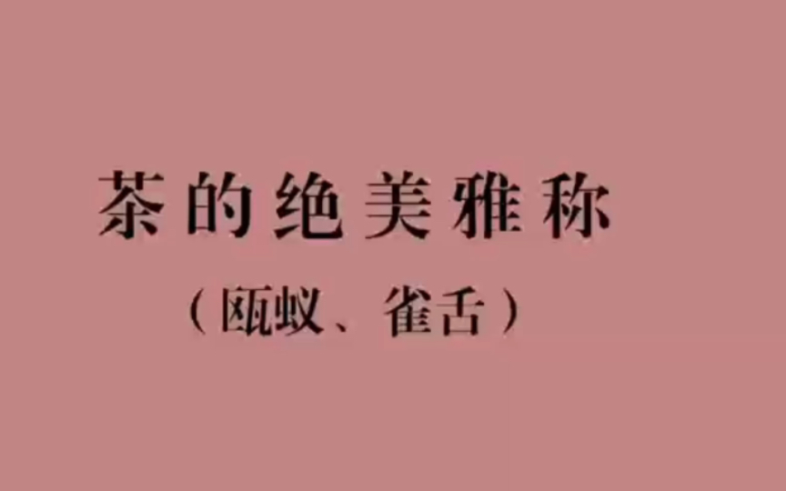 《中国人有多会取名字?》|茶的绝美雅称,你最喜欢哪一个?中国式浪漫哔哩哔哩bilibili