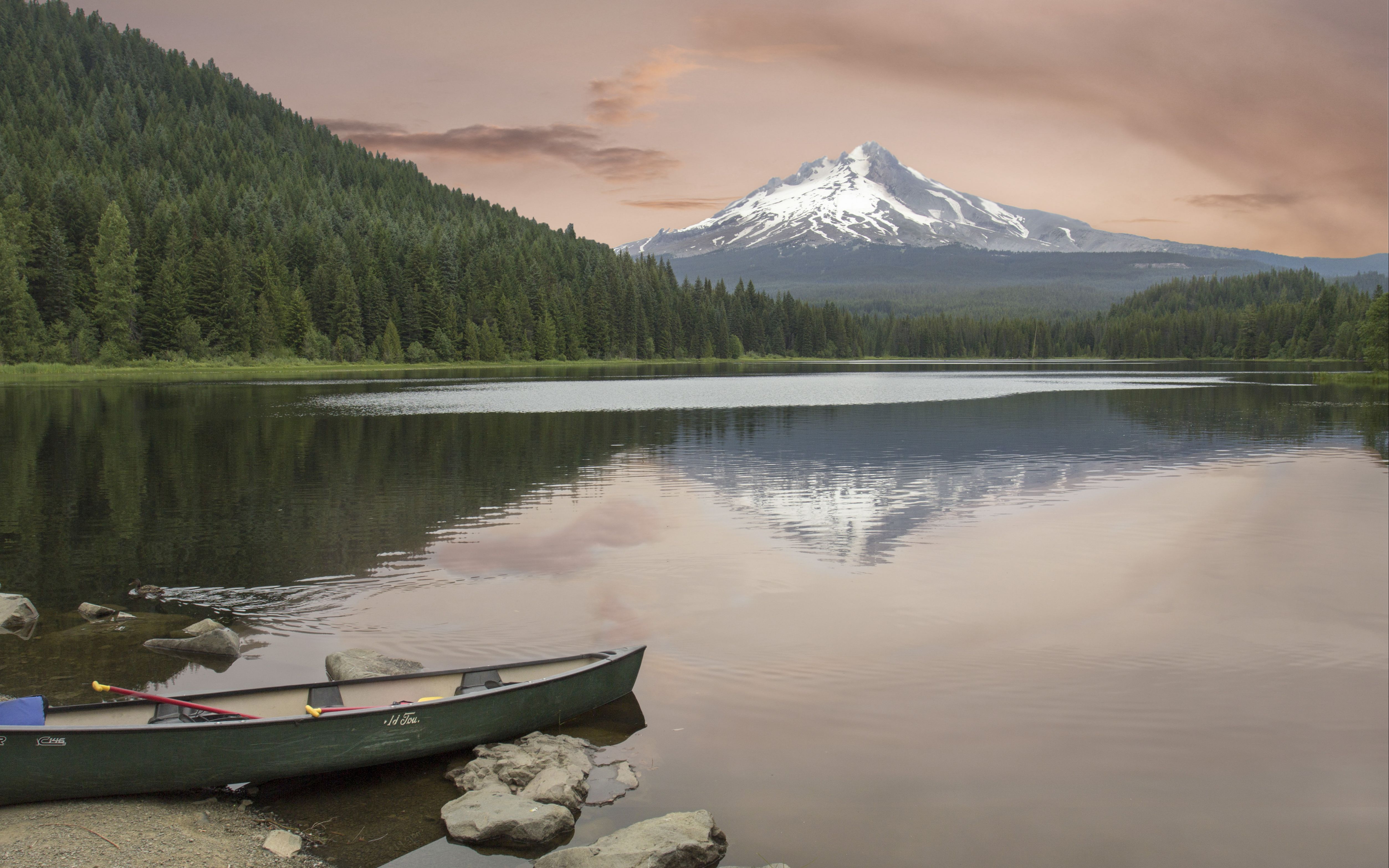 6-1 基础统计模块及常用统计学知识介绍