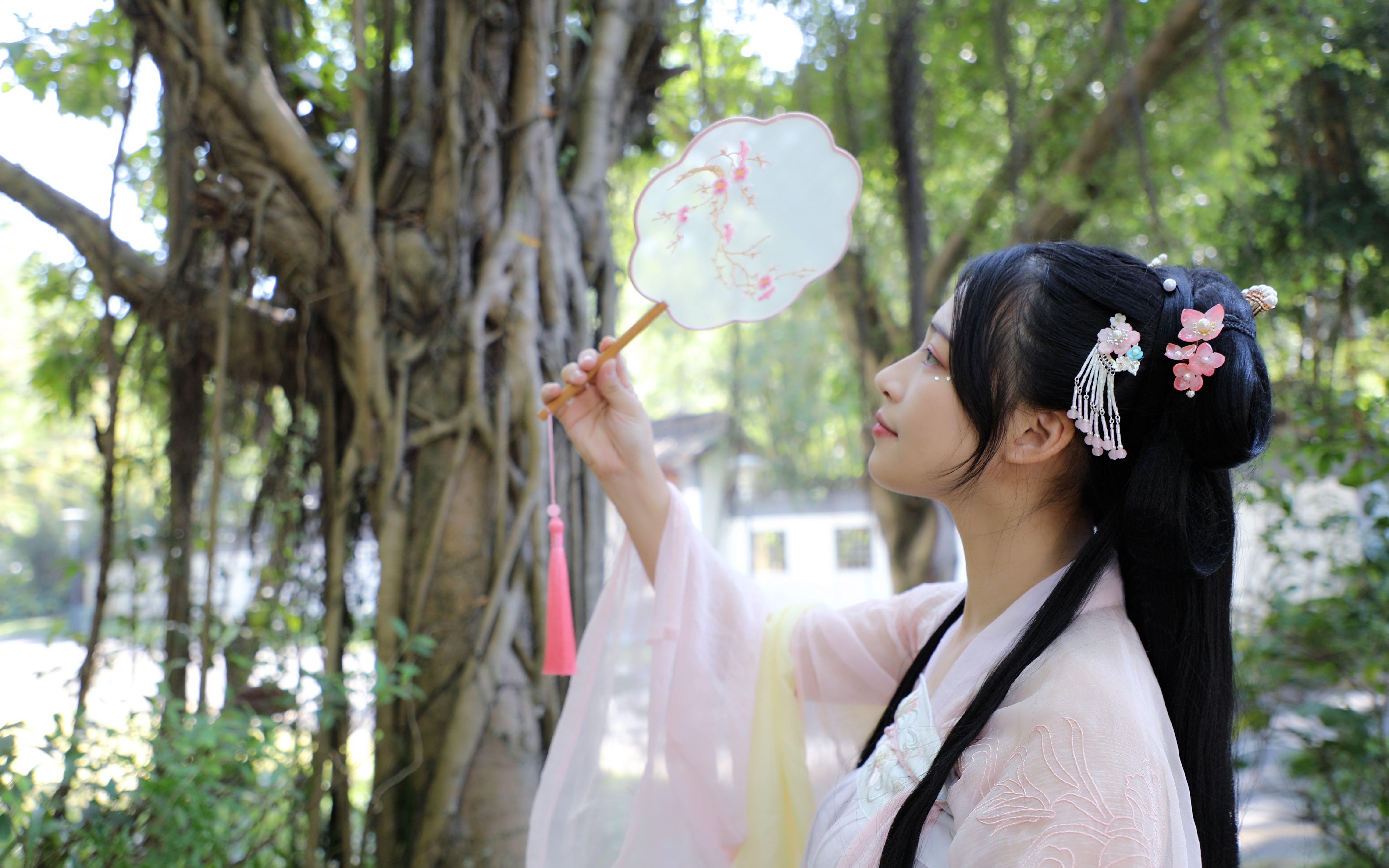 终会遇见你喜欢的古风/汉服小姐姐(第二期)_哔哩哔哩 (゜-゜)つロ