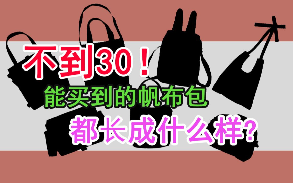 【平价包包】不到30元!学生党能买到的帆布包超实用|可盐可甜四季帆布包推荐哔哩哔哩bilibili