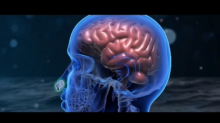 美国少女野外游泳感染变形虫食脑虫