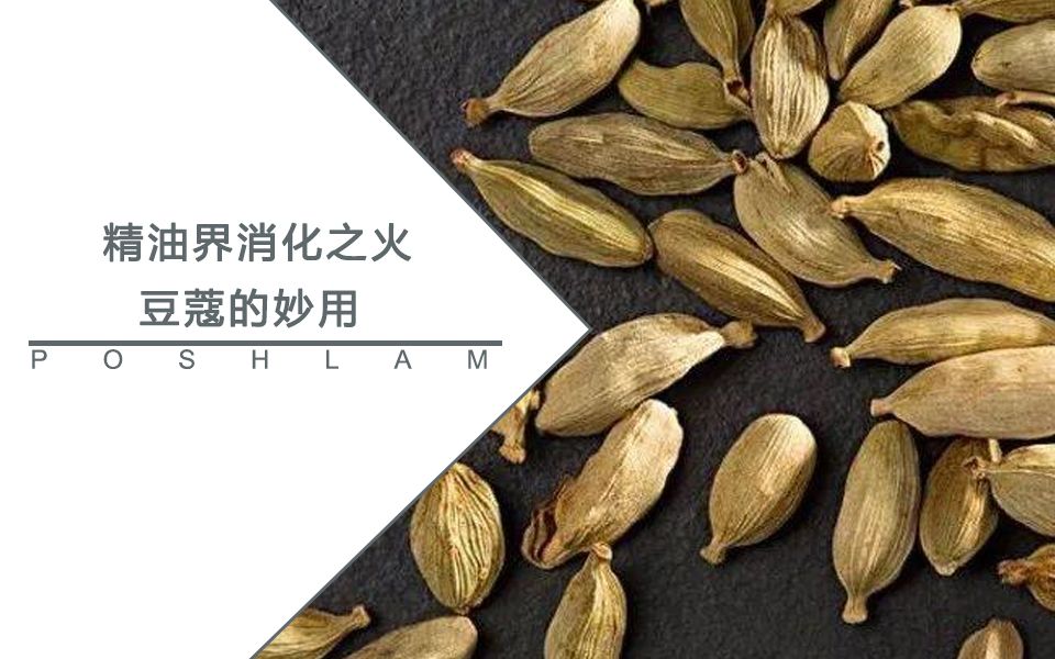 精油說幾分鐘帶你全面認識消化之火小豆蔻精油寶琪蘭精油芳香療法