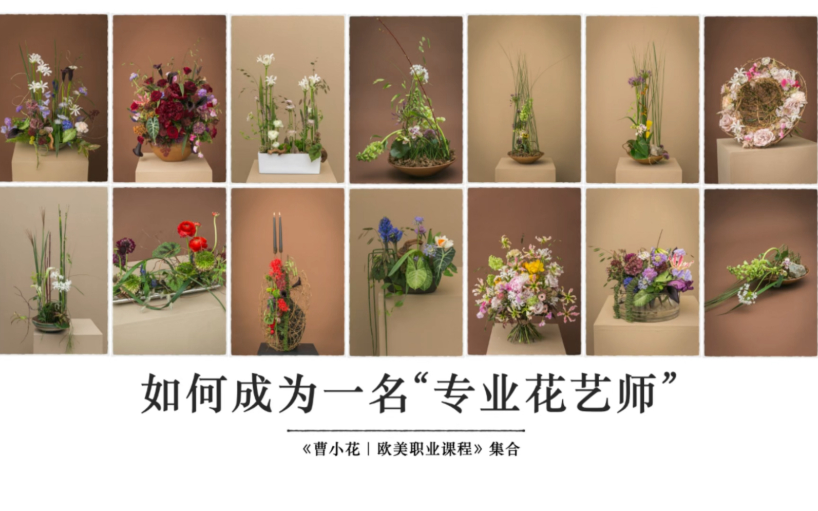 硬核解读:如何成为一名“专业花艺师”-曹雪也是曹小花-曹雪也是曹小花-哔哩哔哩视频