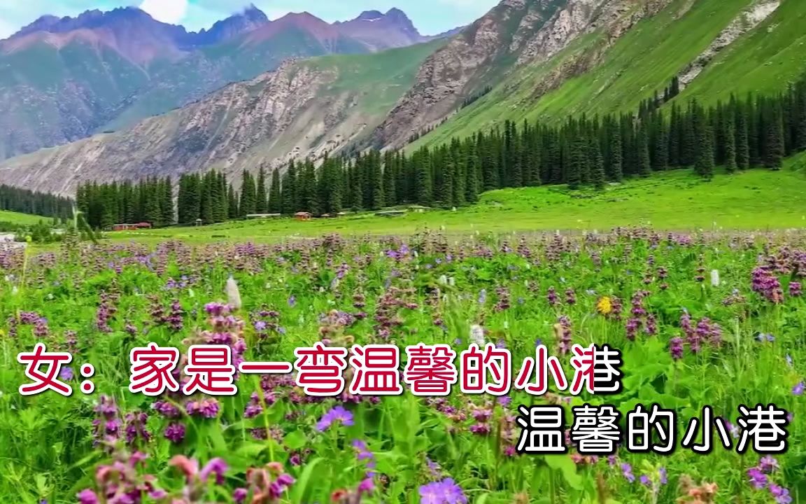 [图]汤子星 菲菲-圆圆的思念.720p.x265.aac