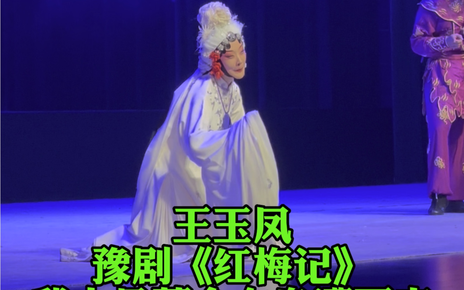 王玉凤-豫剧《红梅记》河南豫剧院青年团建团十周年经典剧目展演活动