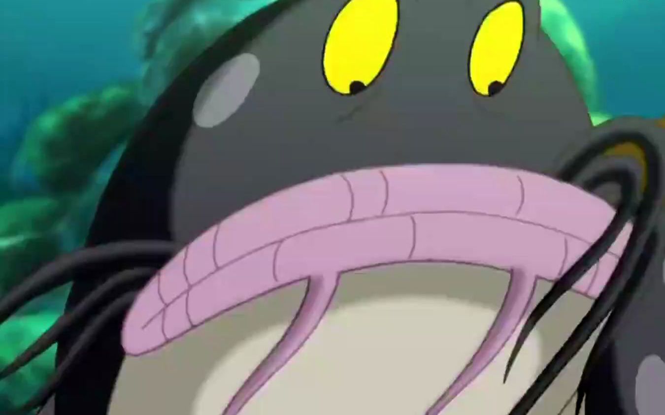 【小鲤鱼】肥鲶鱼压龙虾身上,竟说自己摔石头上,快硌死了!