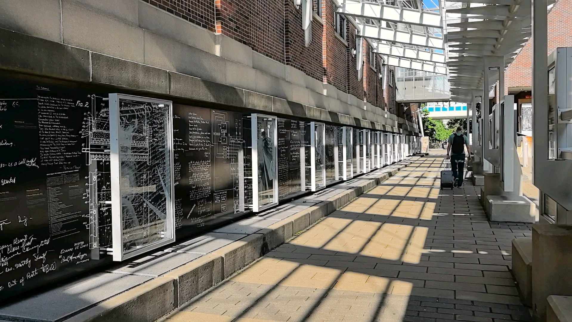 清晨独自有过明尼苏达大学科学之路