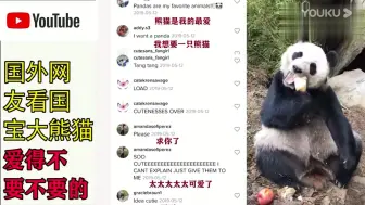 Download Video: 老外看中国 大熊猫，YouTube网友评论：爱得不要不要的！