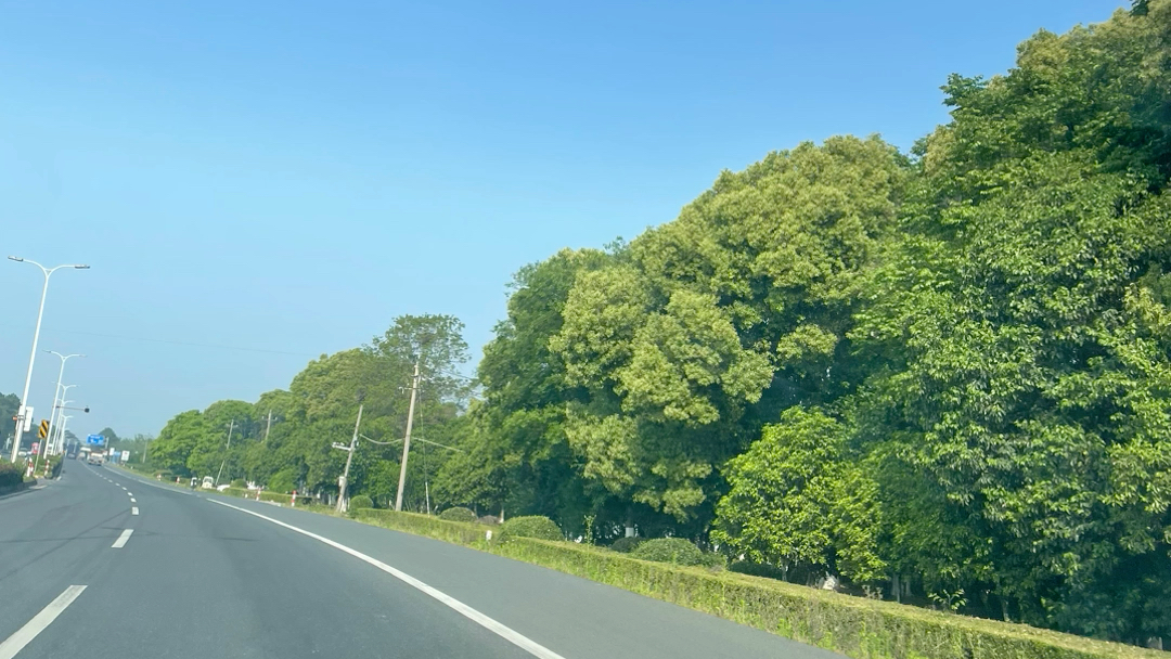 上班路上的风景