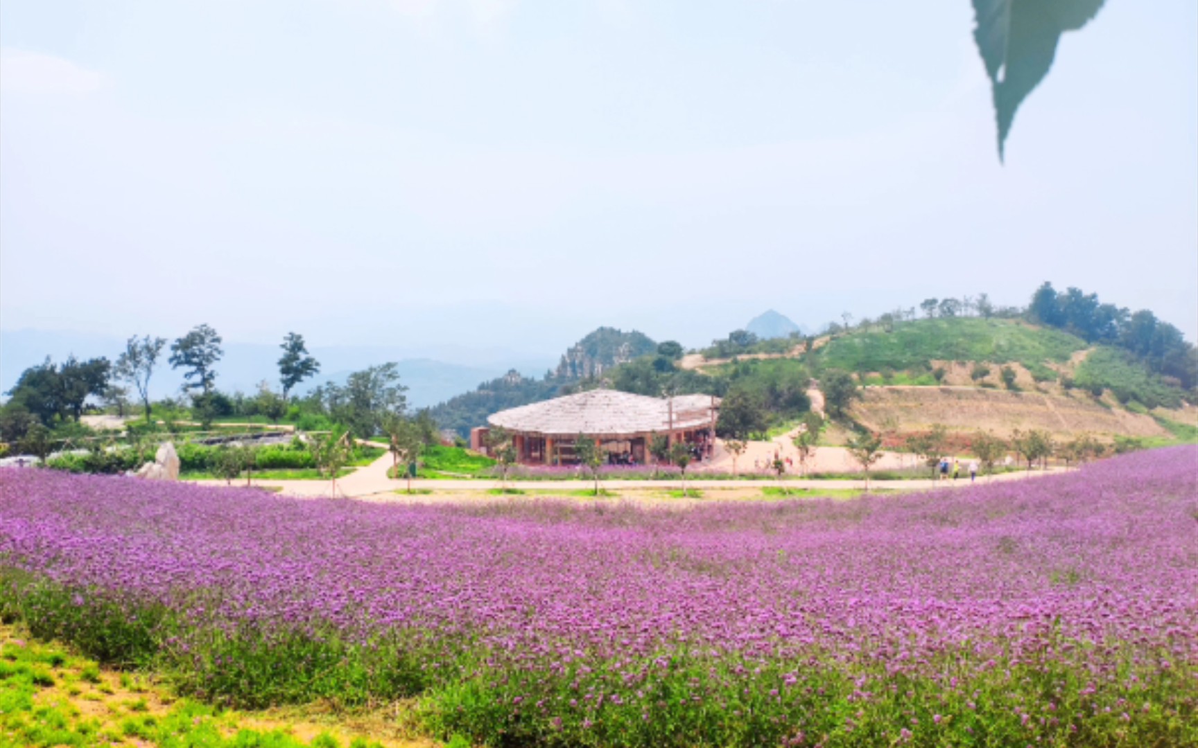 [图]点进来，放松！欣赏大自然美景~山东的山