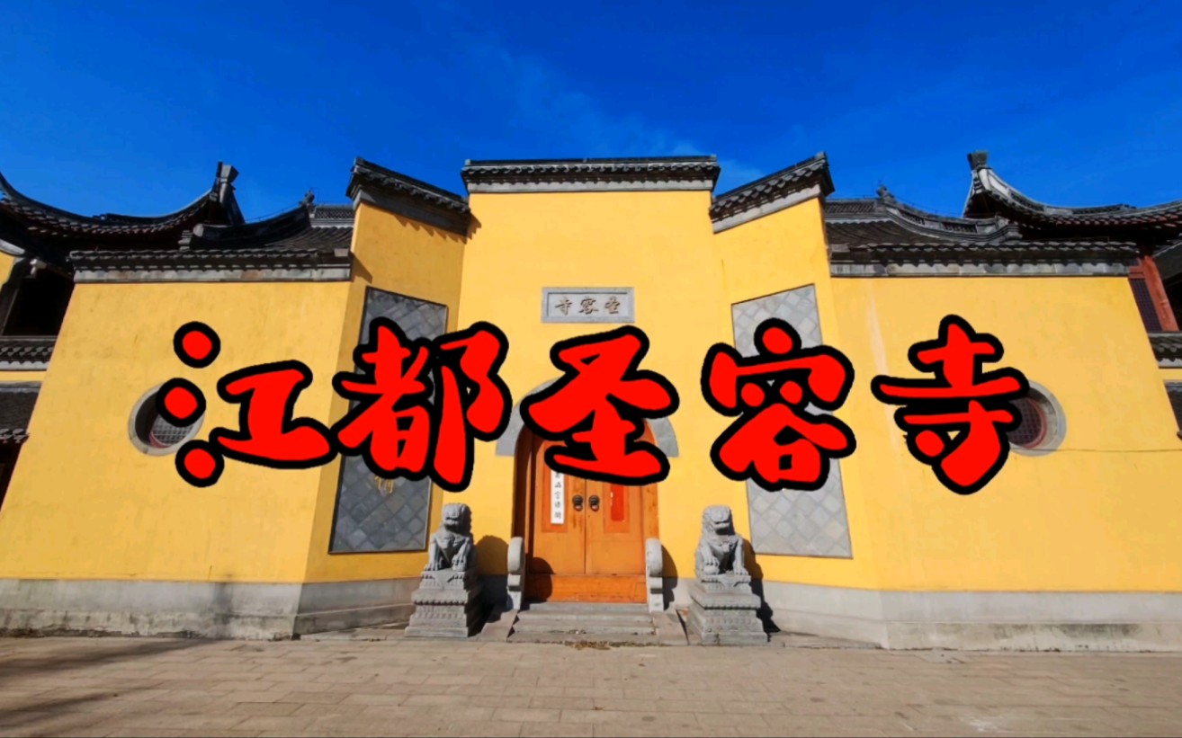 江都圣容寺由大殿双银杏树和两口水井组成的龙头图案实属全国罕见